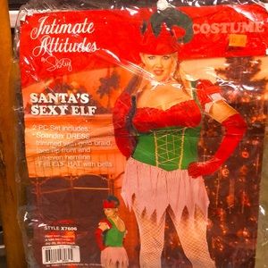 Intimate Attitudes Santa’s Sexy Elf size 1/2 14-16  no hat………
